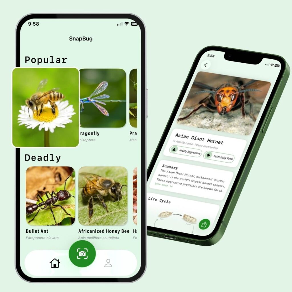 Insect Identifier App